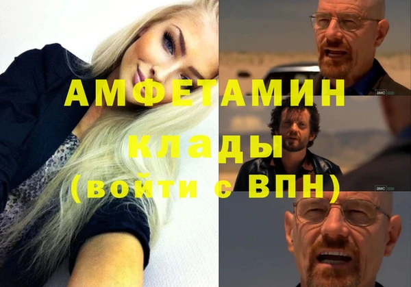 гидра Арсеньев