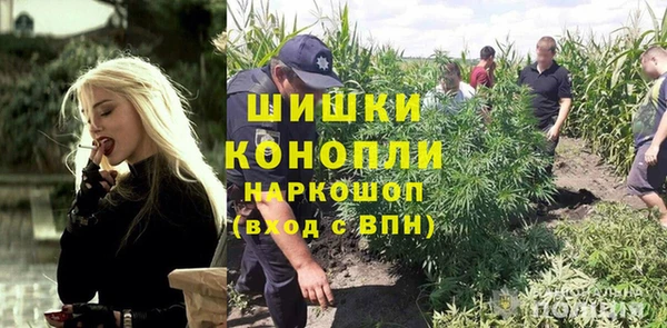 гидра Арсеньев