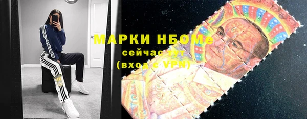 гидра Арсеньев