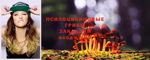 гидра Арсеньев