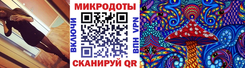 закладки  Славск  Галлюциногенные грибы прущие грибы 